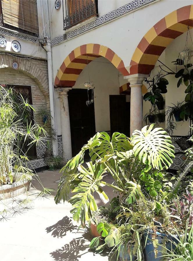 Apartamentos Abderraman I Cordoue Extérieur photo